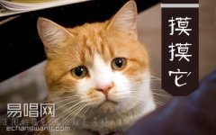 摸摸它吉他譜 花粥孟凡明 C調 和弦彈唱譜