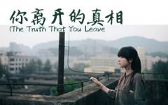 你離開(kāi)的真相指彈譜_The Truth That You Leave吉他獨(dú)奏