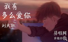 劉大壯《我有多么愛你》吉他譜_G調(diào)原版_彈唱六