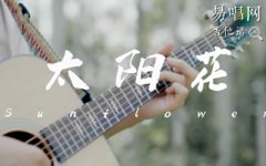 Sunflower指彈譜_孫培博《太陽花》獨奏譜_吉他指彈