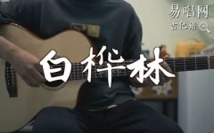白樺林吉他譜_樸樹_G調(diào)彈唱譜_吉他
