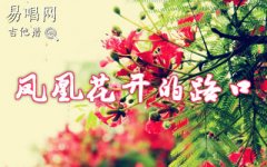 鳳凰花開的路口吉他譜_林志炫_(tái)G調(diào)簡單版_彈唱六