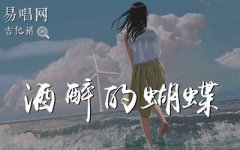 酒醉的蝴蝶吉他譜_崔偉立_簡(jiǎn)單版彈唱譜_網(wǎng)絡(luò)神
