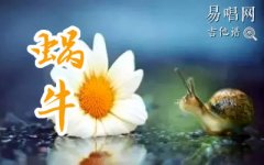 周杰倫《蝸?！芳V 六線譜高清版 C調(diào)彈唱譜