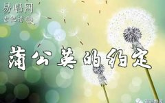 蒲公英的約定指彈譜_簡單版_周杰倫_吉他獨奏譜
